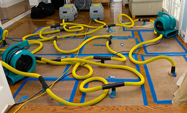 Professional Crawl Space Water Removal technician working in Veyo, UT